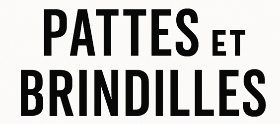 Pattes et Brindilles